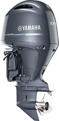 2025 Yamaha F175 - Thumbnail
