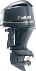 2025 Yamaha F300 - Thumbnail