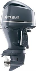 2025 Yamaha F300 - Thumbnail